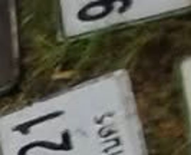 สส 34