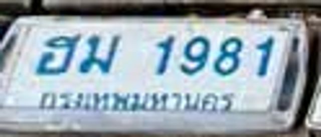 ฮม 1981
