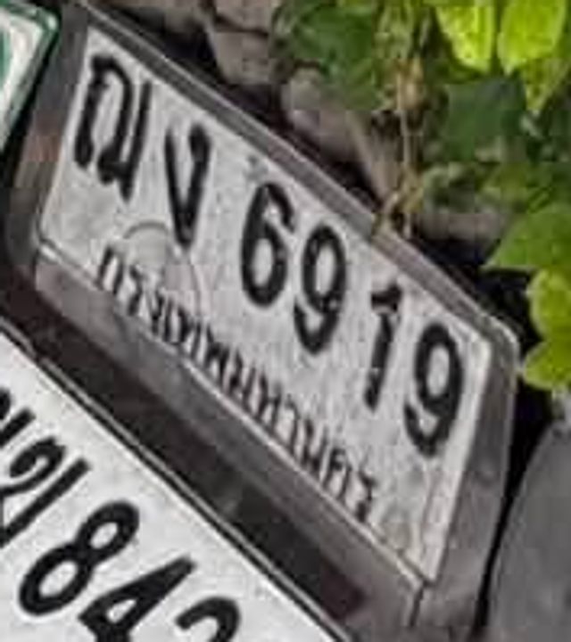 ณง 6919