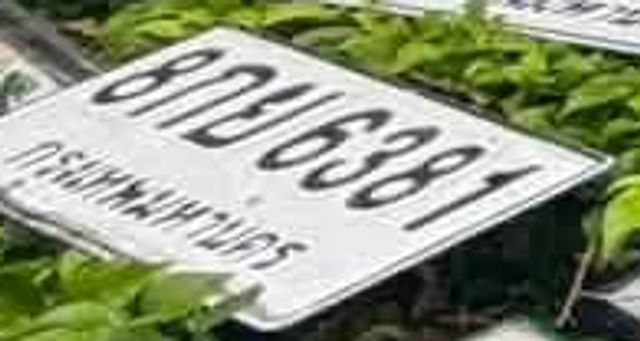 กข 6381
