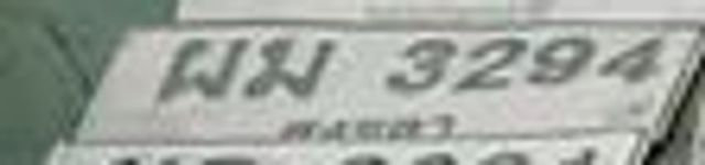 ผม 3294