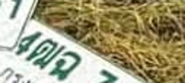 4ฒฉ 715