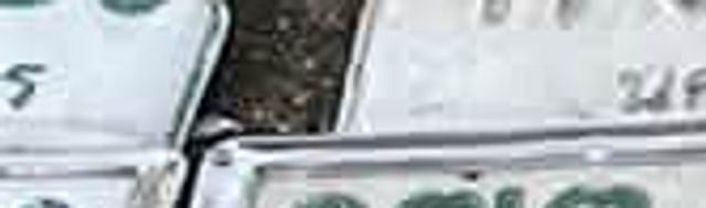 ผฆ 1080