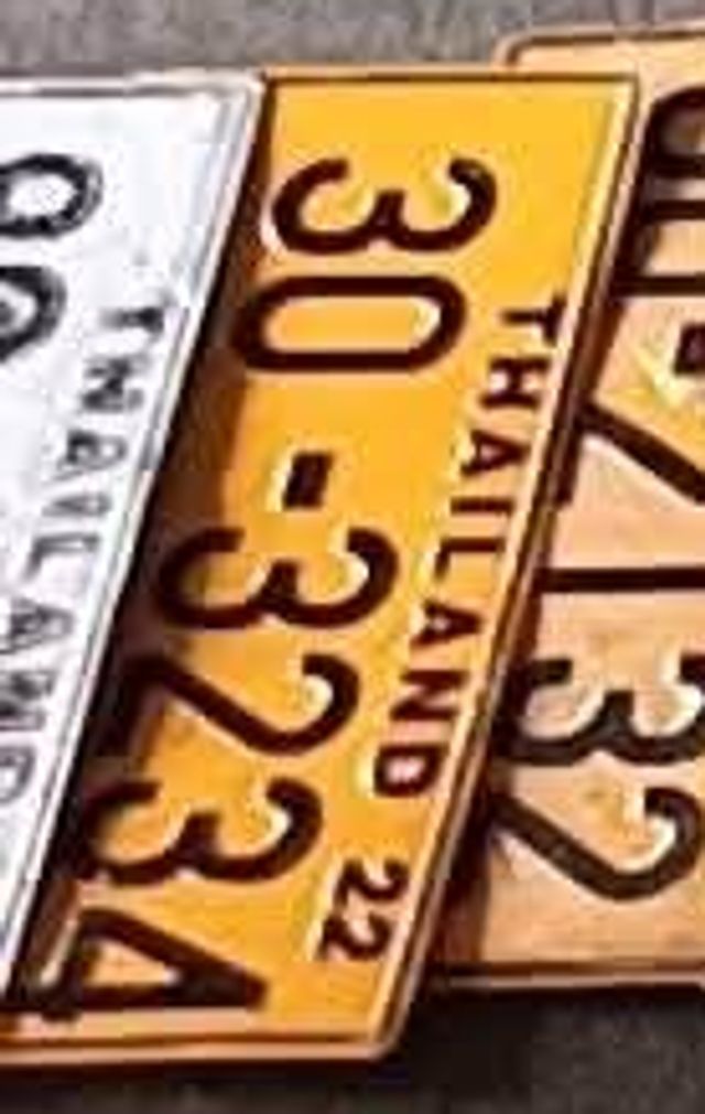 303234