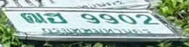 ฒฮ 9902