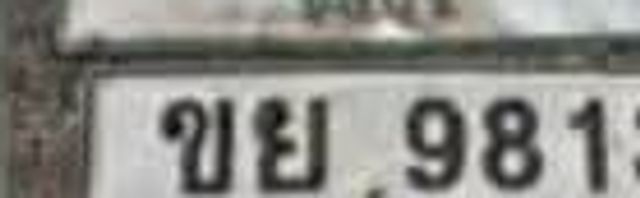 ขย 9813