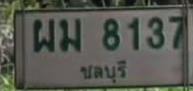 ผม 8137