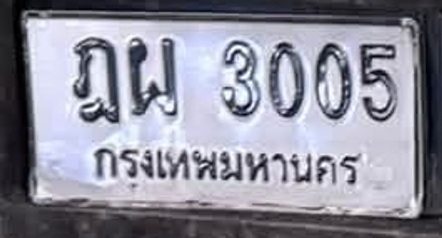 ฎผ 3005