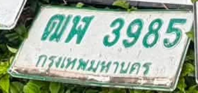 ฒฬ 3985