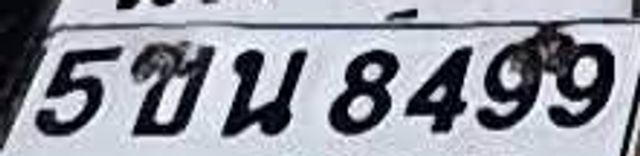 5ขน 8499