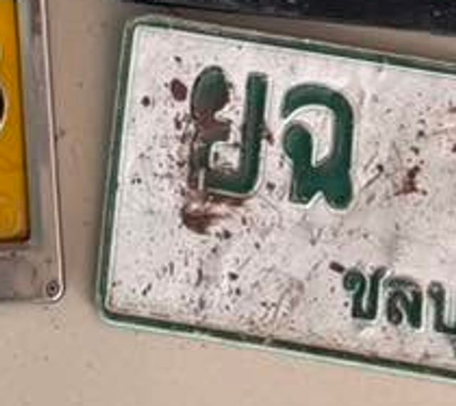 ยฉ 995