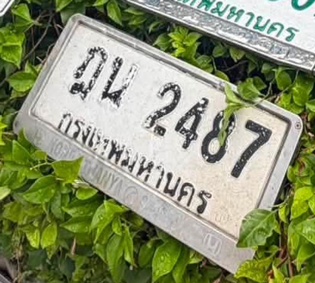 ฒน 2487
