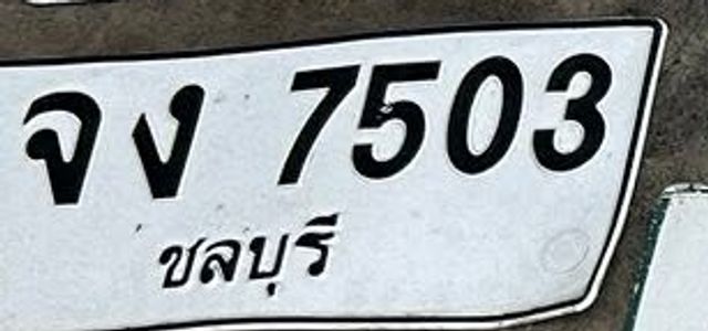 จง 7503