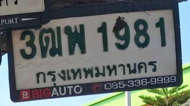 3ฒพ 1981