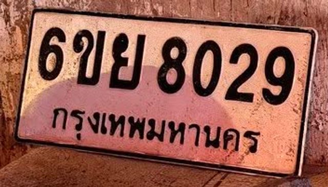 6ขย 8029
