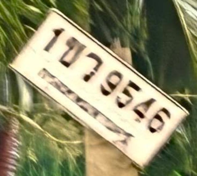 1ขว 9546
