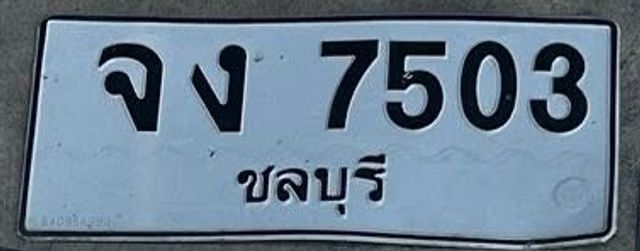 จง 7503