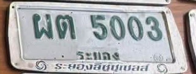 ผต 5003