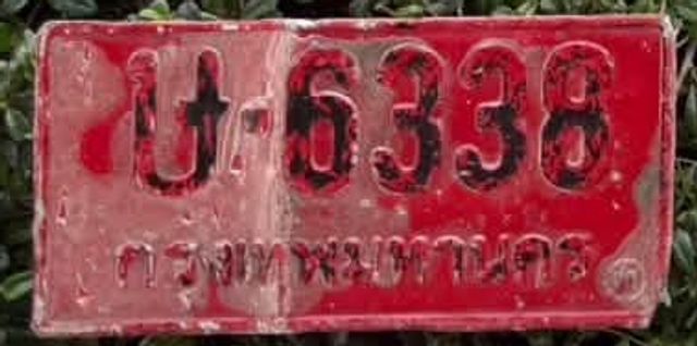 ป 6338