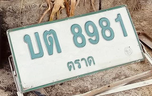 บต 8981