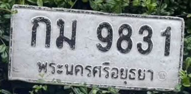 กม 9831