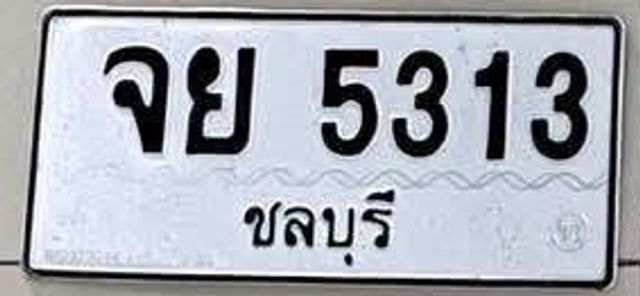 จย 5313