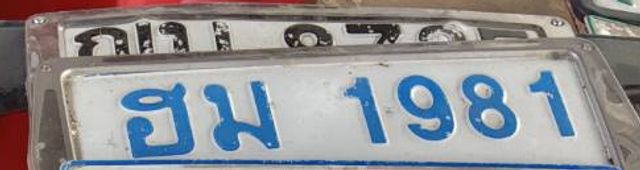 ฮม 1981