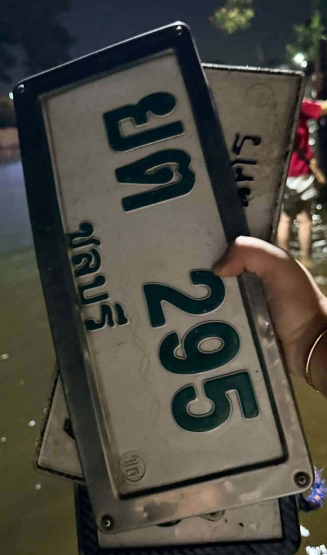 ยต 295