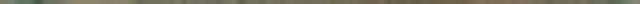ถส 4877